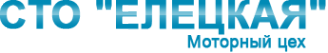 Логотип компании Елецкая