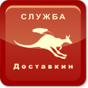 Логотип компании Доставкин