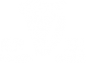 Логотип компании Дублин