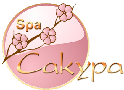 Логотип компании Spa-Сакура