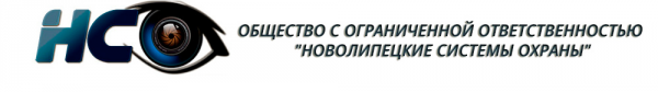 Логотип компании Новолипецкие системы охраны