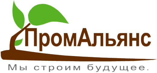 Логотип компании ПромАльянс