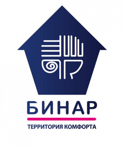 Логотип компании Бинар