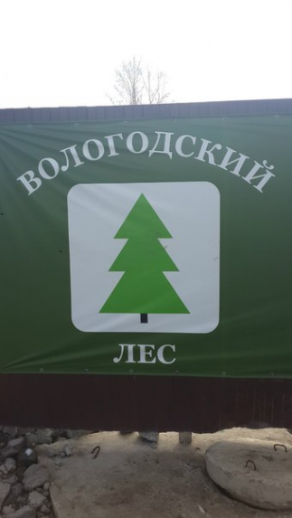 Логотип компании Вологодский Лес